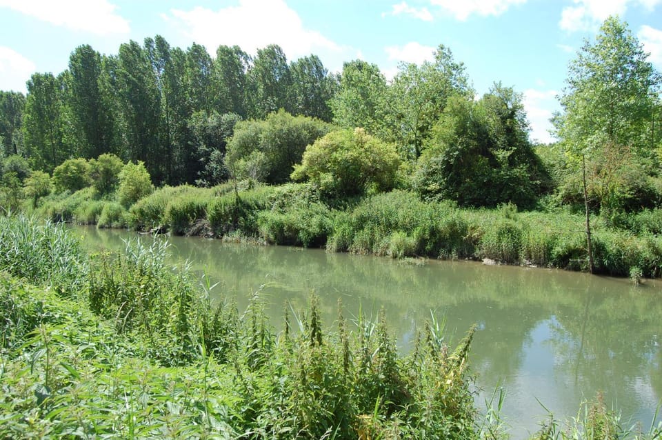 Natural landscape