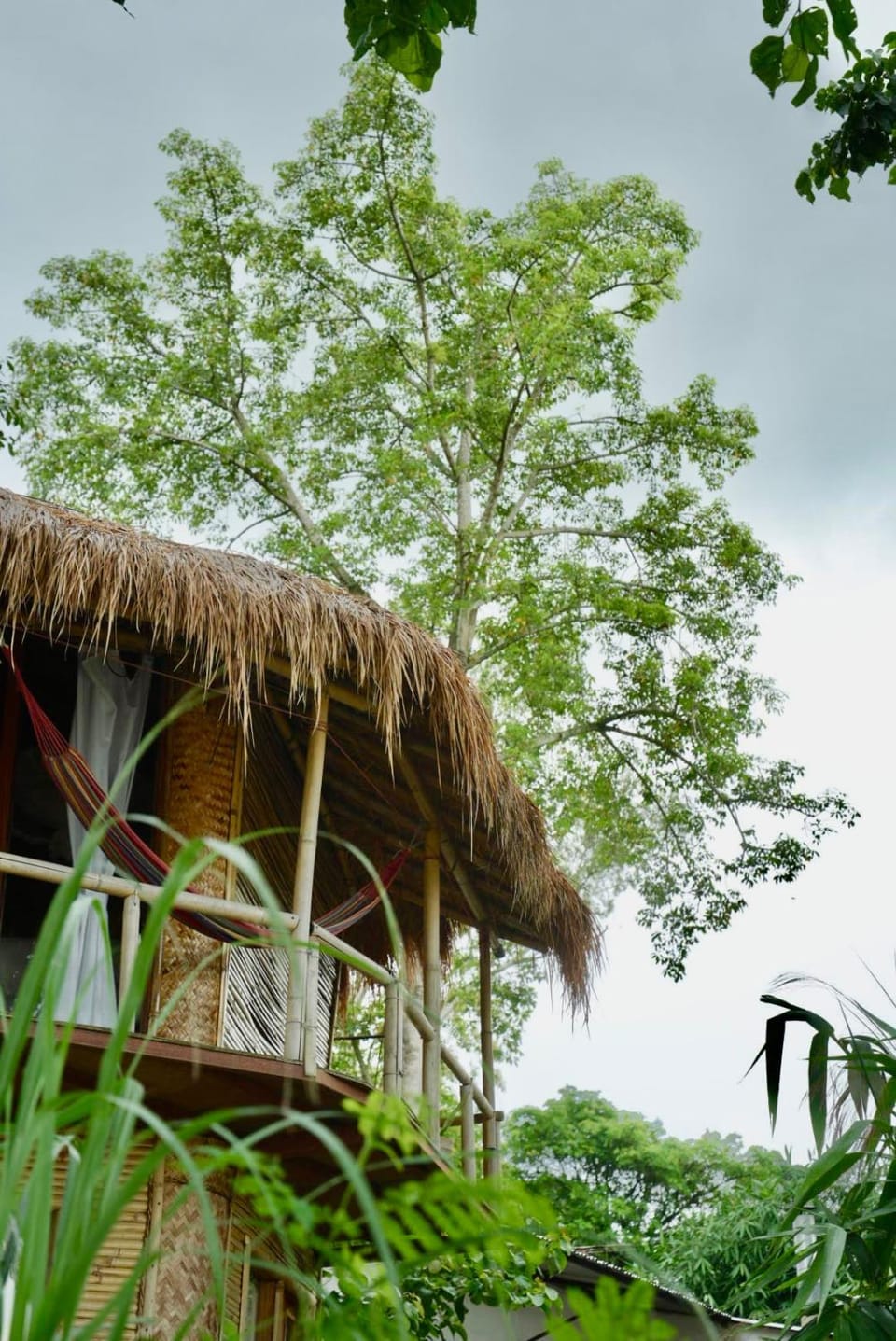 Happy Lemon Tree lodge Hostel in Bagmati Province, Nepal