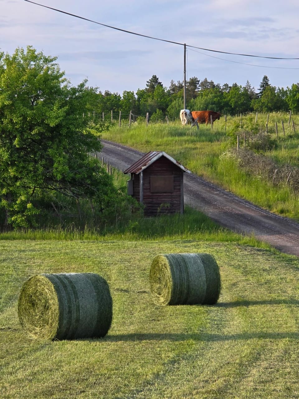 Åängens Bed o Breakfast Bed and Breakfast in Sweden