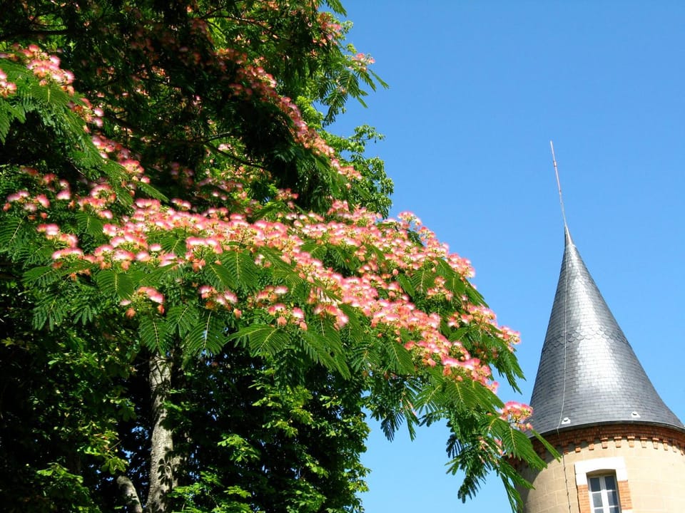 Domaine du Bourg Gites House in Auvergne-Rhône-Alpes