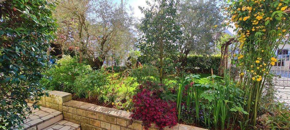 Natural landscape, Garden