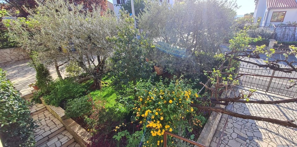 Garden, Garden view
