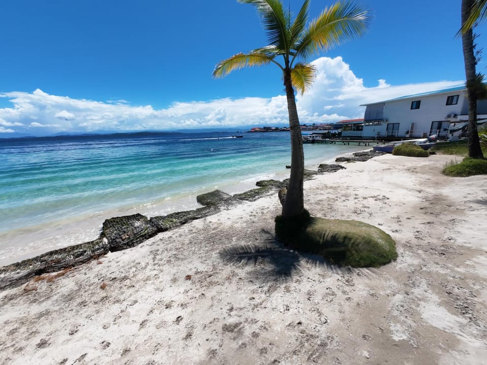 Natural landscape, Beach, Sea view
