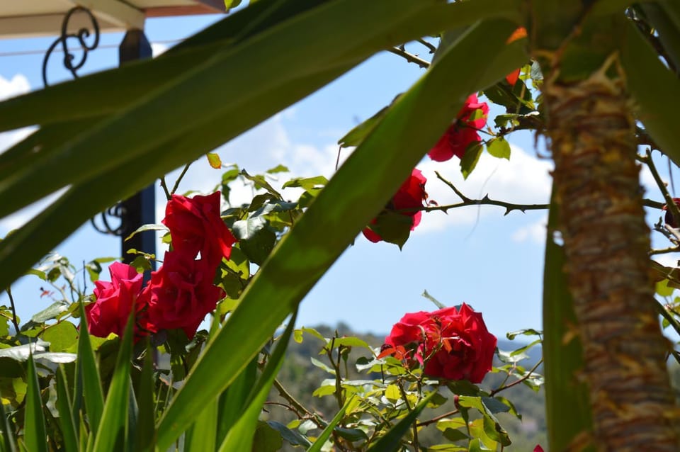 Garden View Apartments Apartment in Decentralized Administration of the Aegean