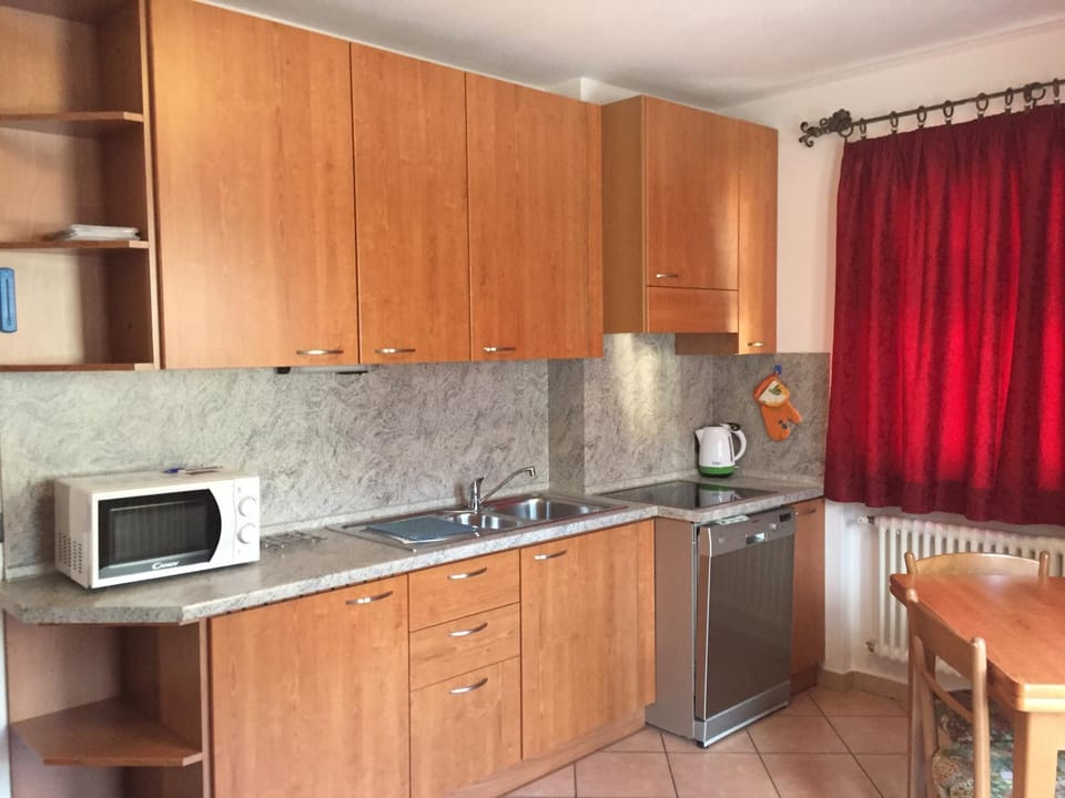 Kitchen or kitchenette, dishwasher, minibar, stove