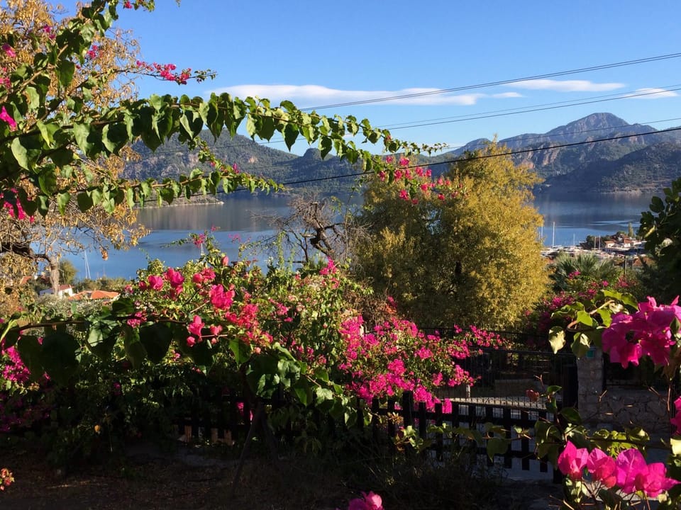 Garden view, Mountain view, Sea view, Street view