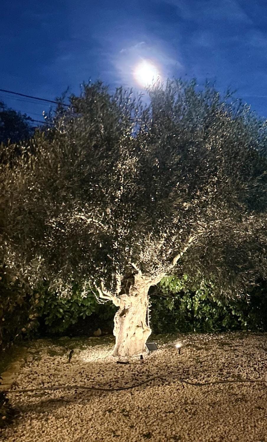 villa Luberon Bed and Breakfast in Provence-Alpes-Côte d'Azur