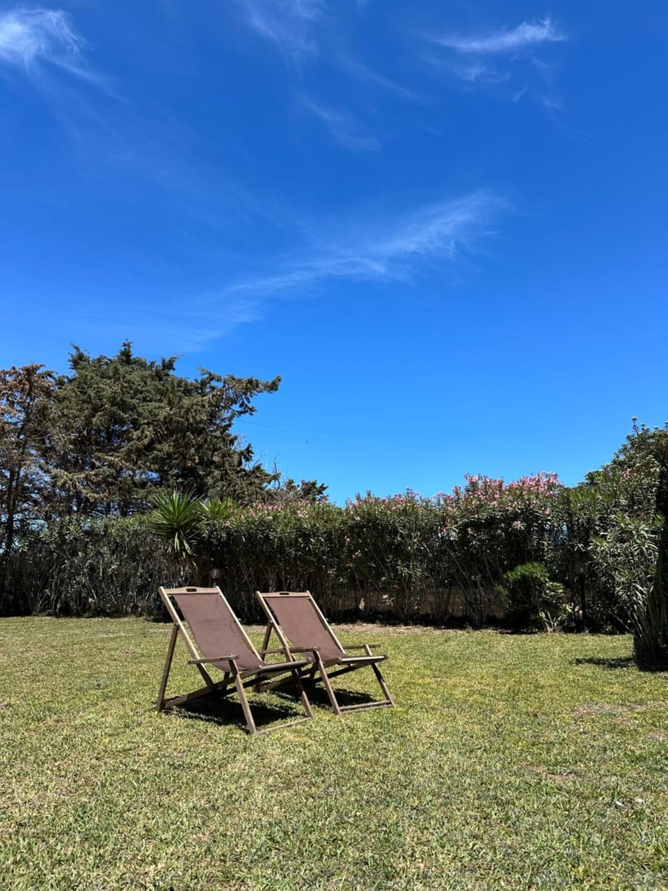 Natural landscape, Garden view, sunbed