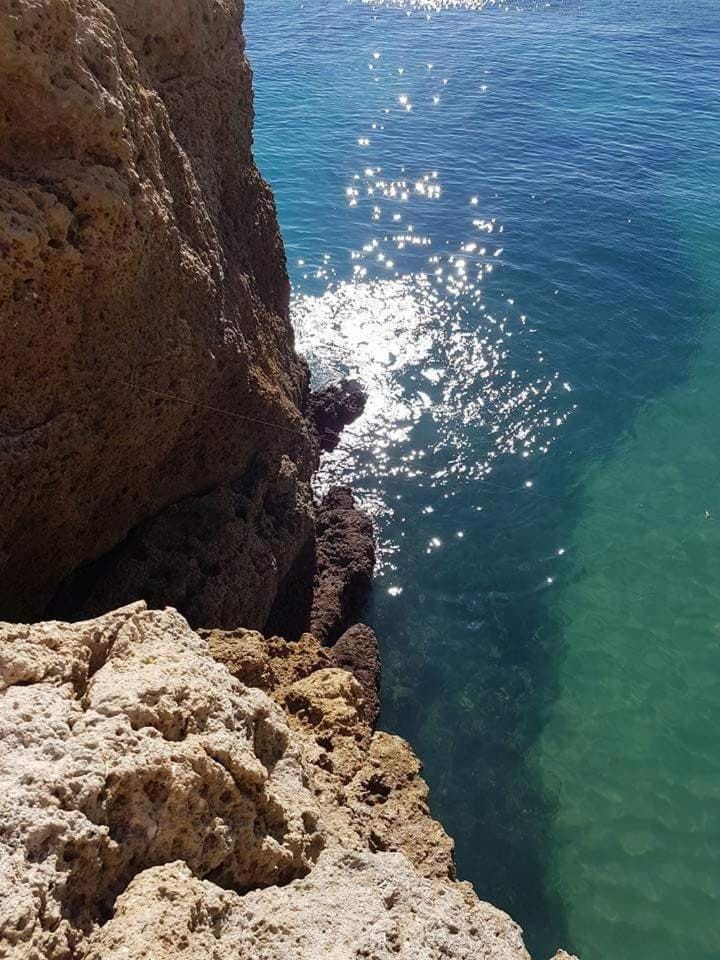 Natural landscape
