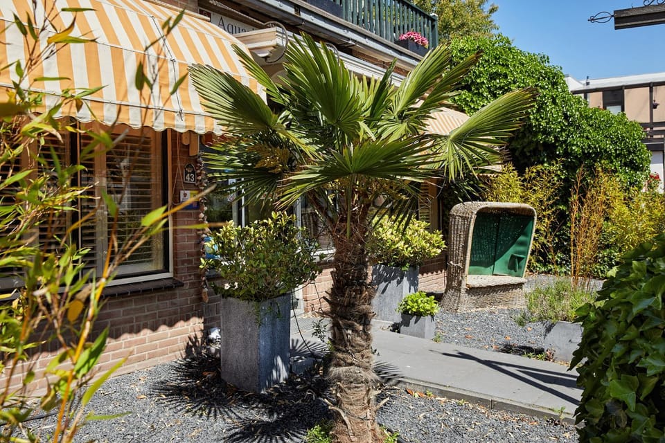 Decorative detail, Garden view