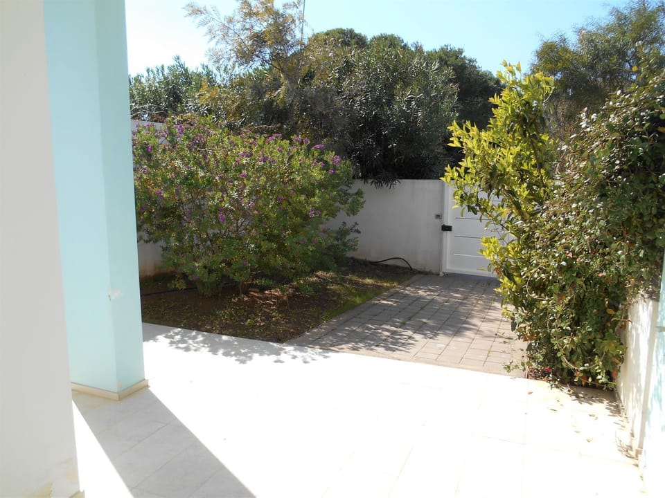 Day, Garden, Garden view