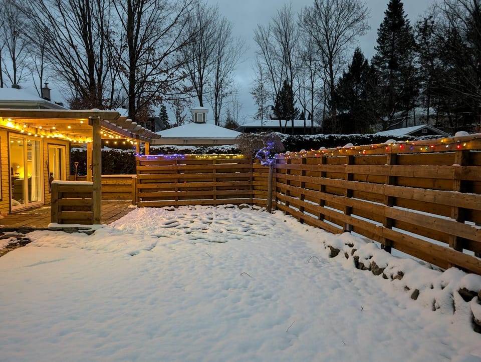 Winter