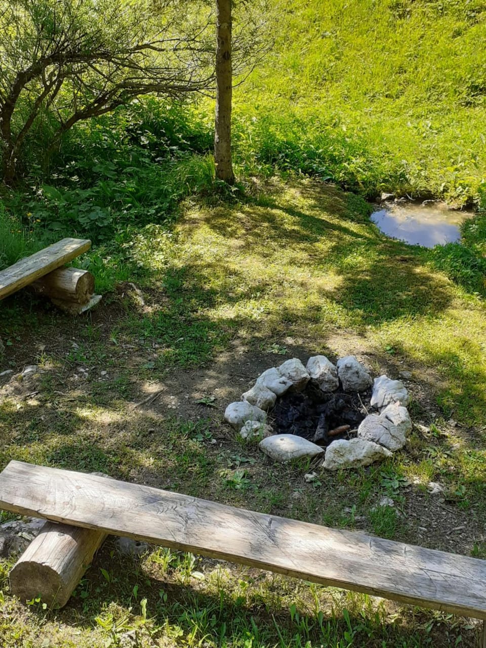 Spring, Day, Natural landscape, Garden, Garden view