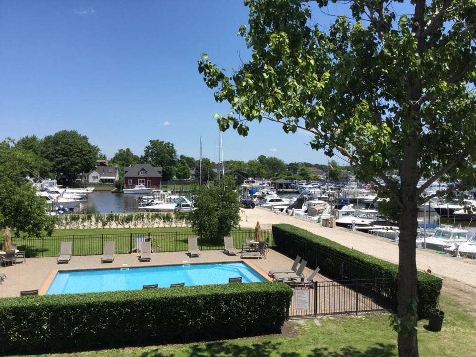Swimming pool, Swimming pool