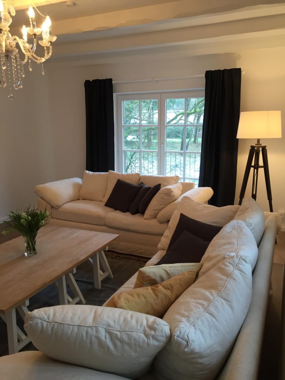 Photo of the whole room