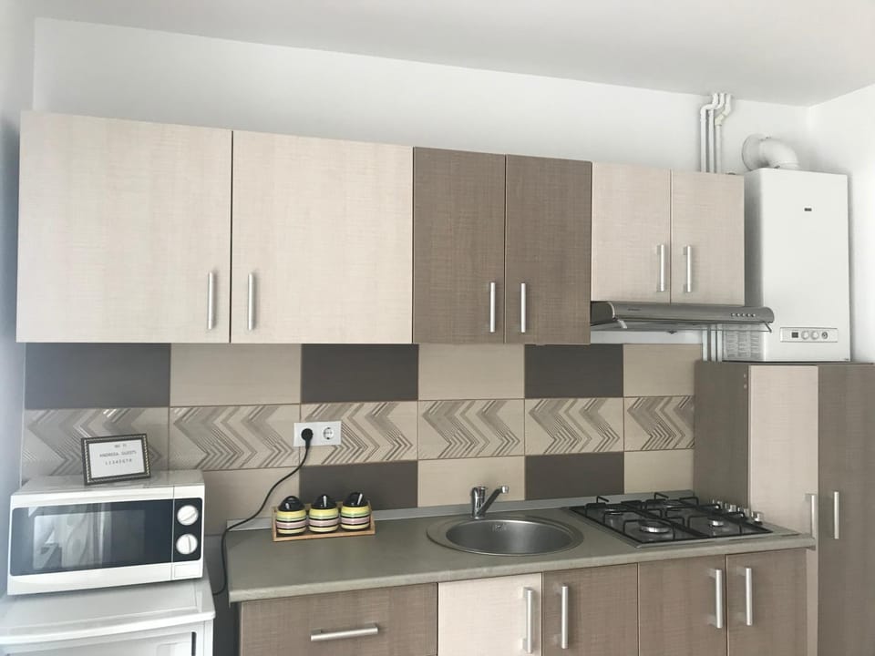 Garsoniera Family Apartment in Prahova, Romania