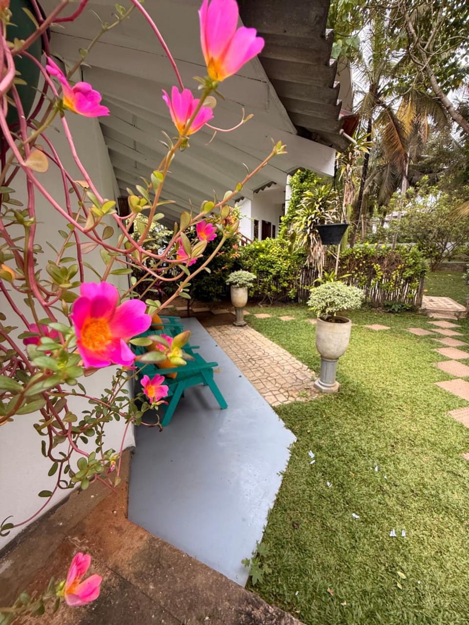 Day, Garden, Garden view