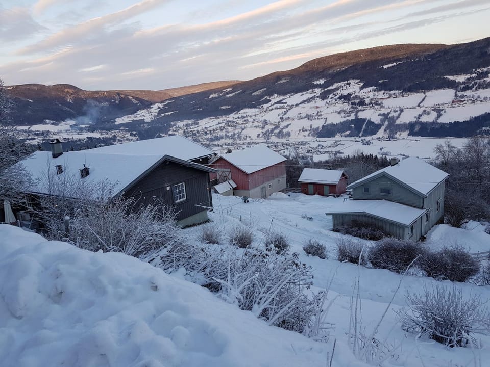 Day, Bird's eye view, Winter, On site