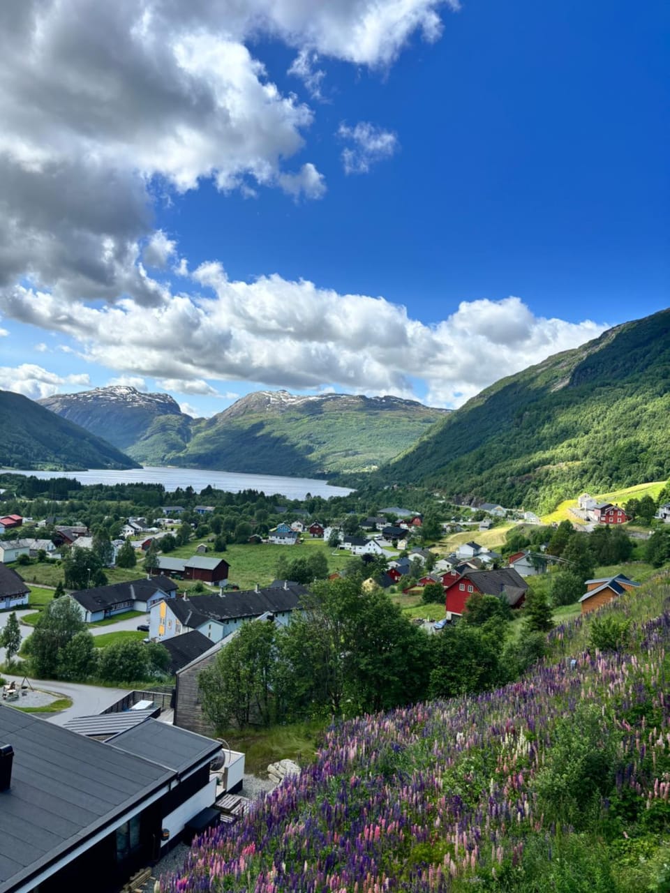 Røldal Overnatting Apartment hotel in Rogaland