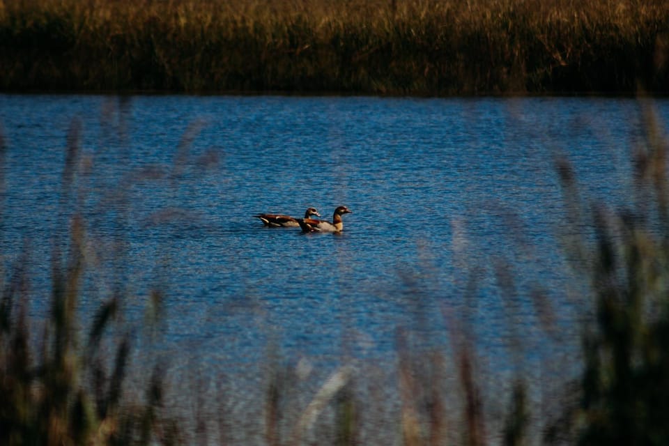 Natural landscape, Lake view