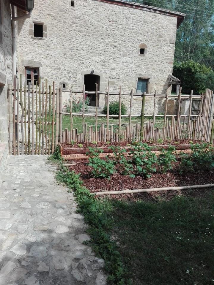 L'abondance House in Provence