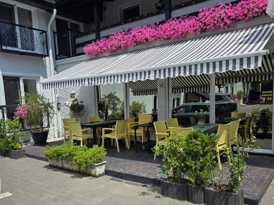 Pensiunea Vila Chesa Hotel in Romania
