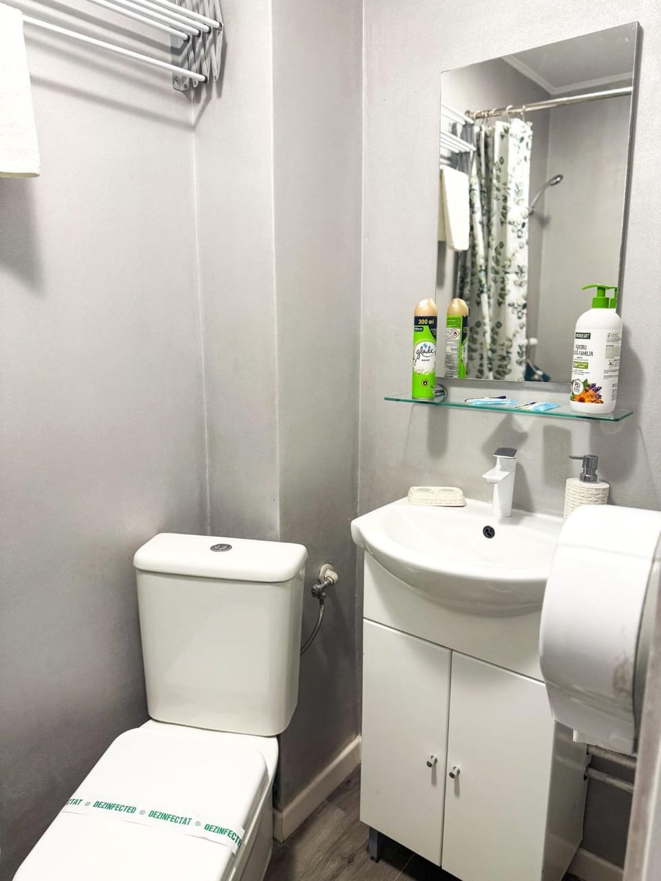Toilet, Bathroom