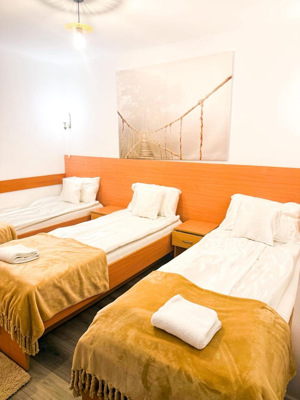 Pensiunea Vila Chesa Hotel in Romania
