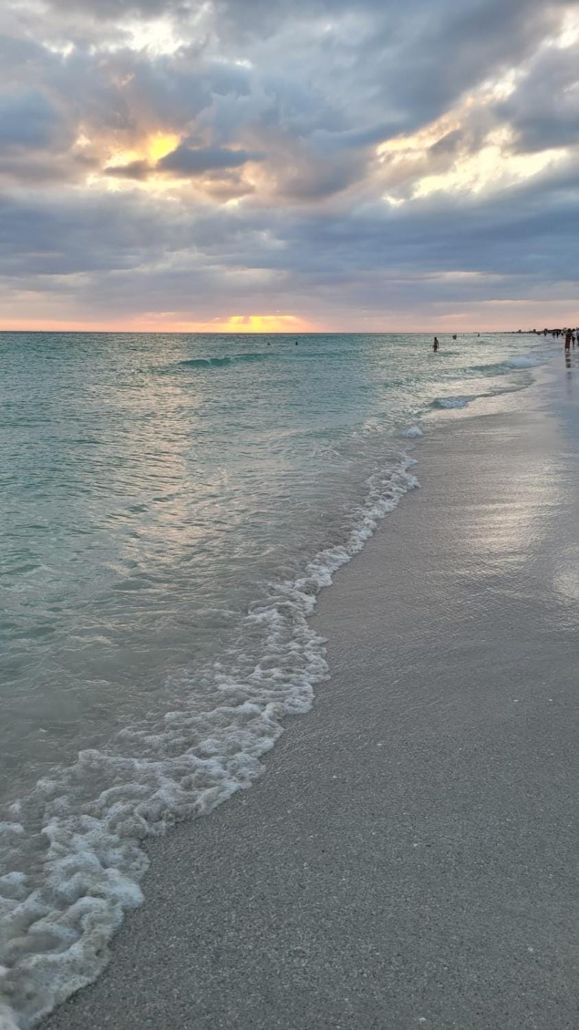 Natural landscape, Beach, Sunset