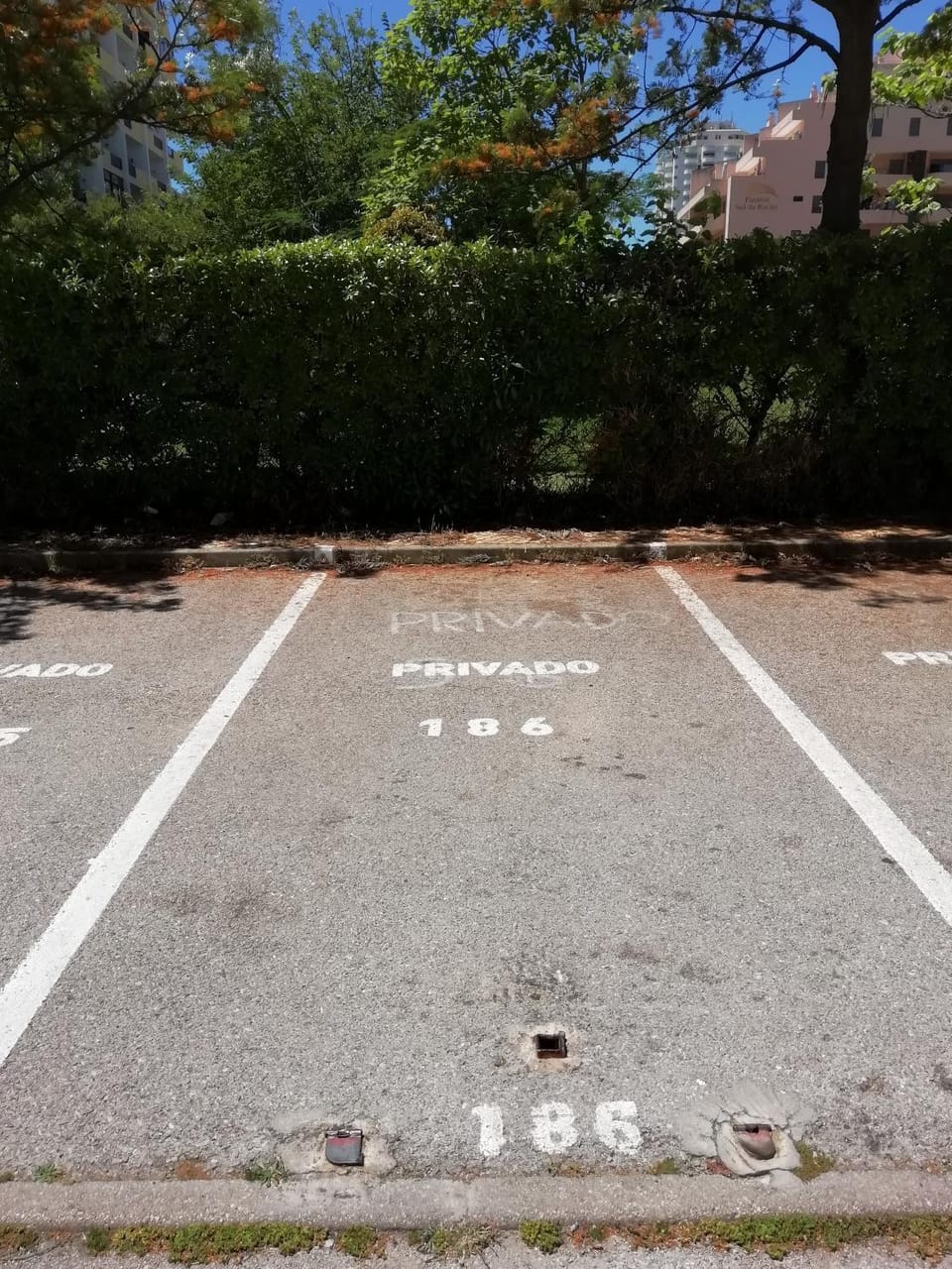 Porto Seguro Apartment hotel in Portimao