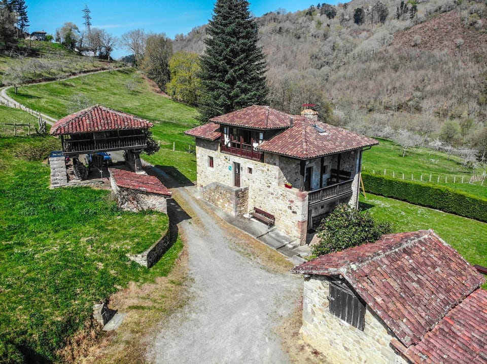 Bird's eye view, Garden view