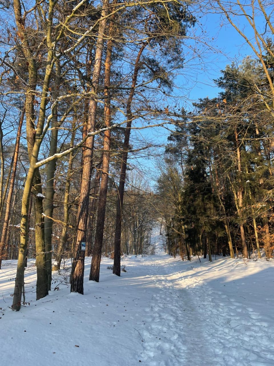 Housea Domy Wakacyjne House in Pomeranian Voivodeship