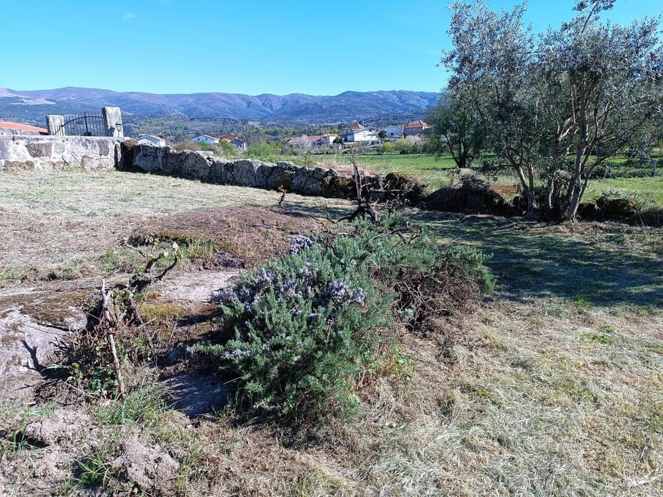 Casa do Beirado House in Portugal