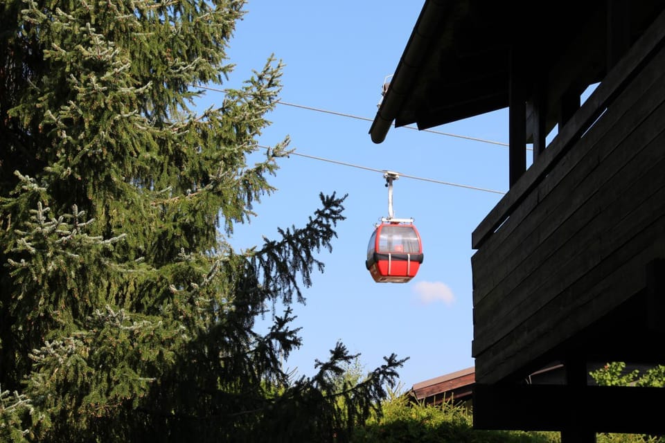 View (from property/room)