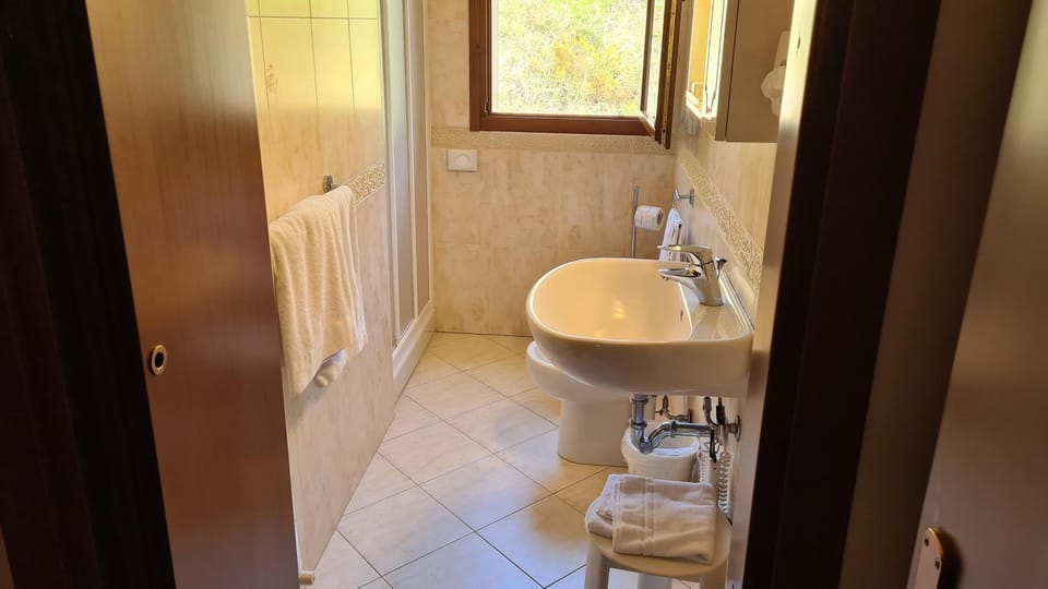 Shower, Toilet, Bathroom, towels