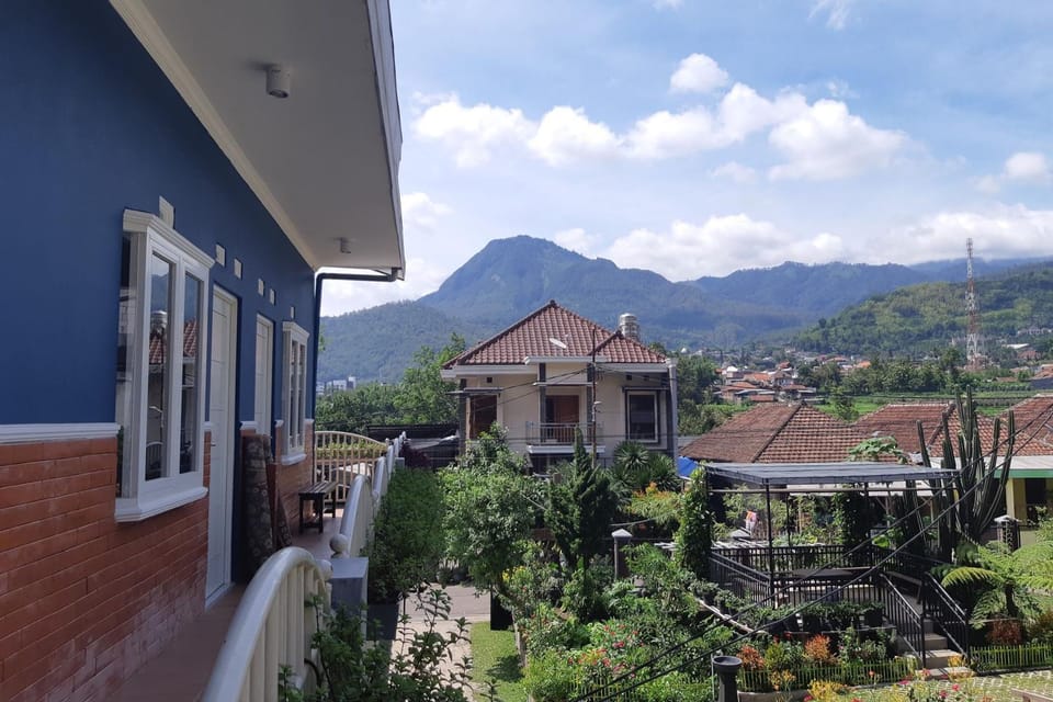 View (from property/room)