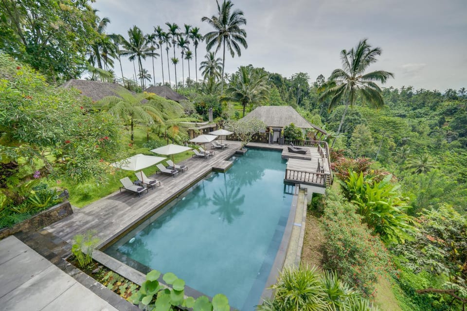 Natural landscape, Pool view, Swimming pool, Swimming pool, sunbed