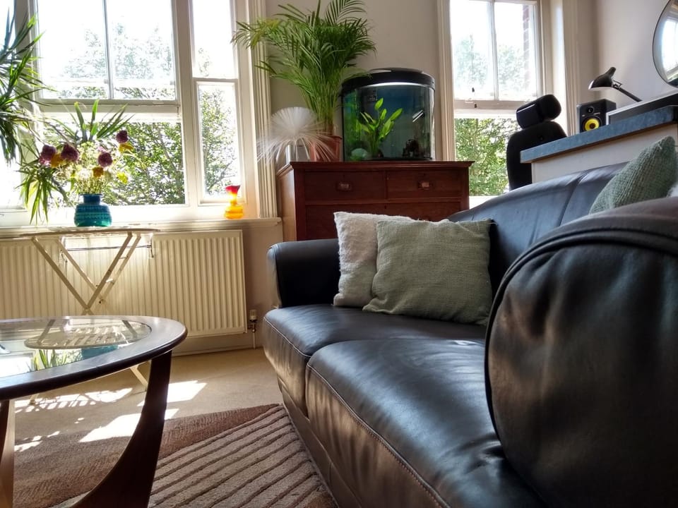 Day, Summer, Living room, Seating area