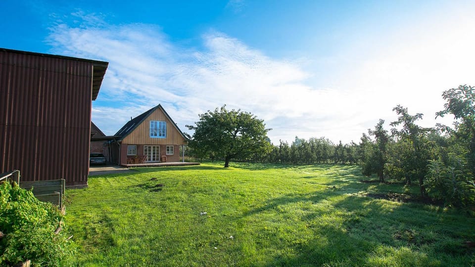 Property building, Garden view