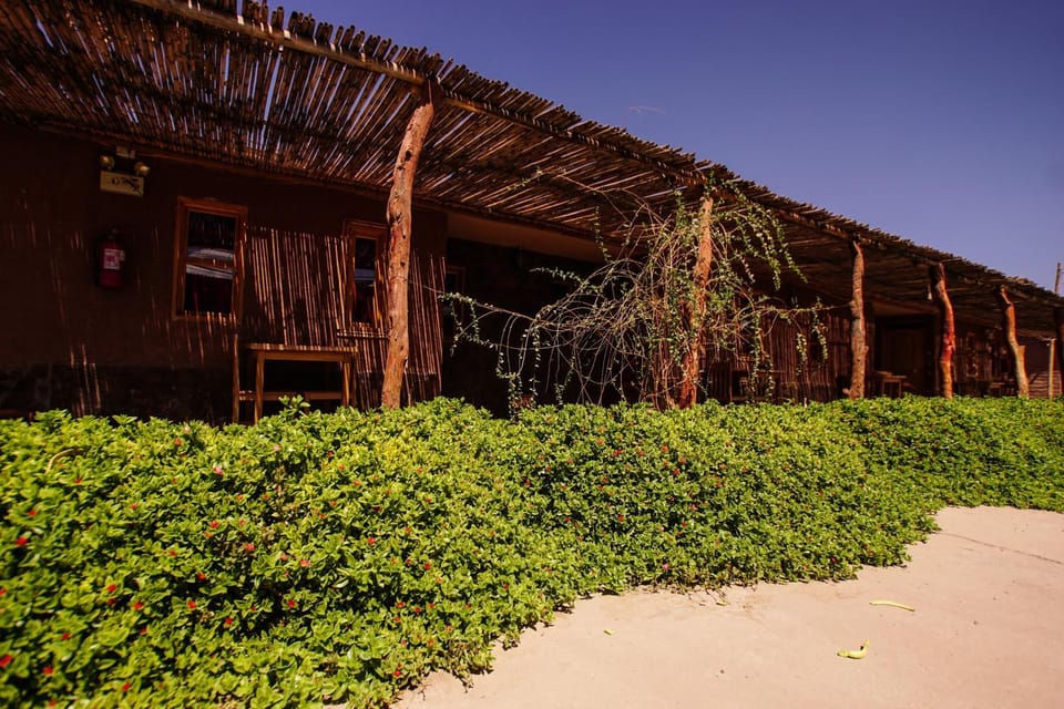 Patio, Restaurant/places to eat, Garden