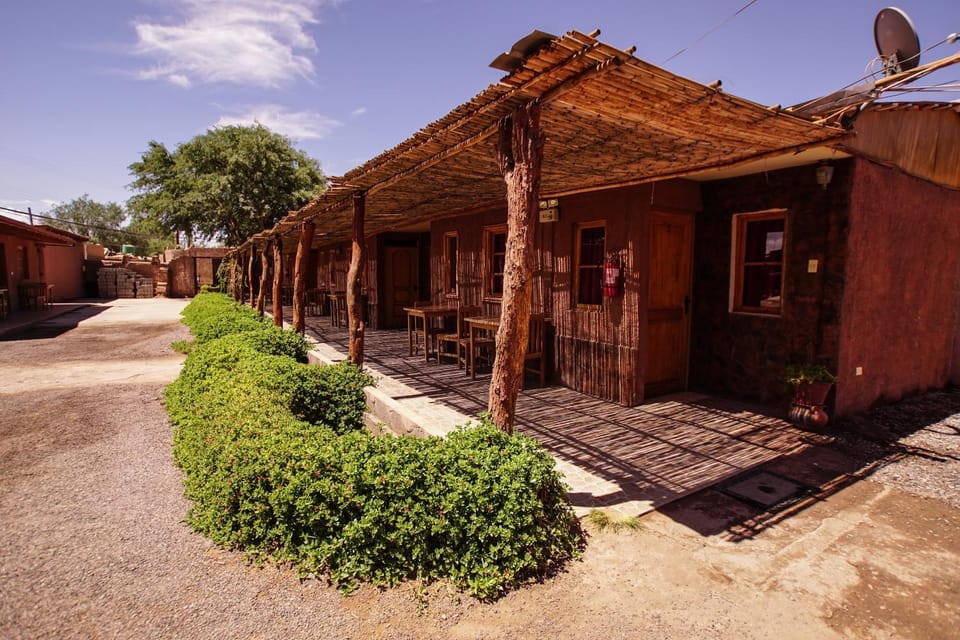 Patio, Garden