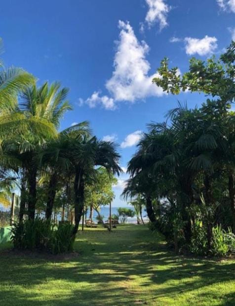 Pousada Tortuga Inn in State of Bahia