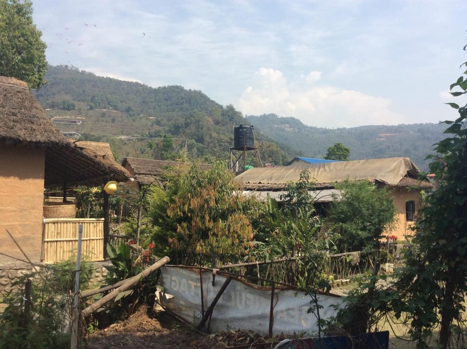 Mountain view