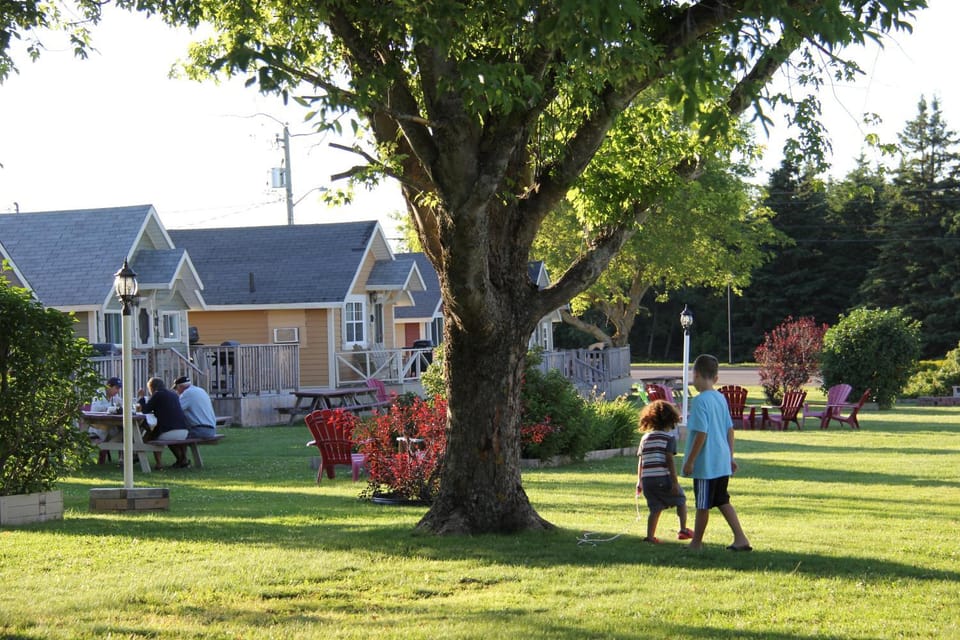 Garden view