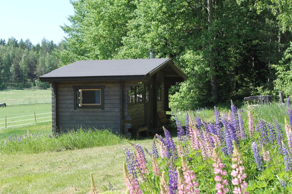 Sauna, Sauna