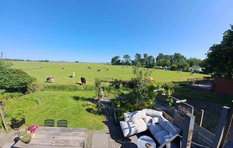 Natural landscape, Garden, Garden, Location