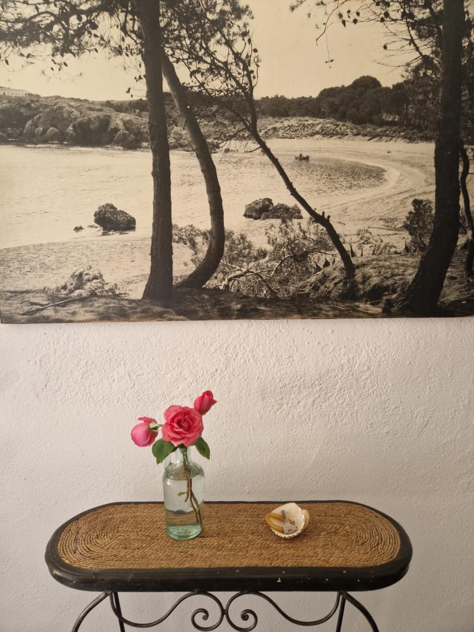 Ca la Teia Apartment in Baix Empordà