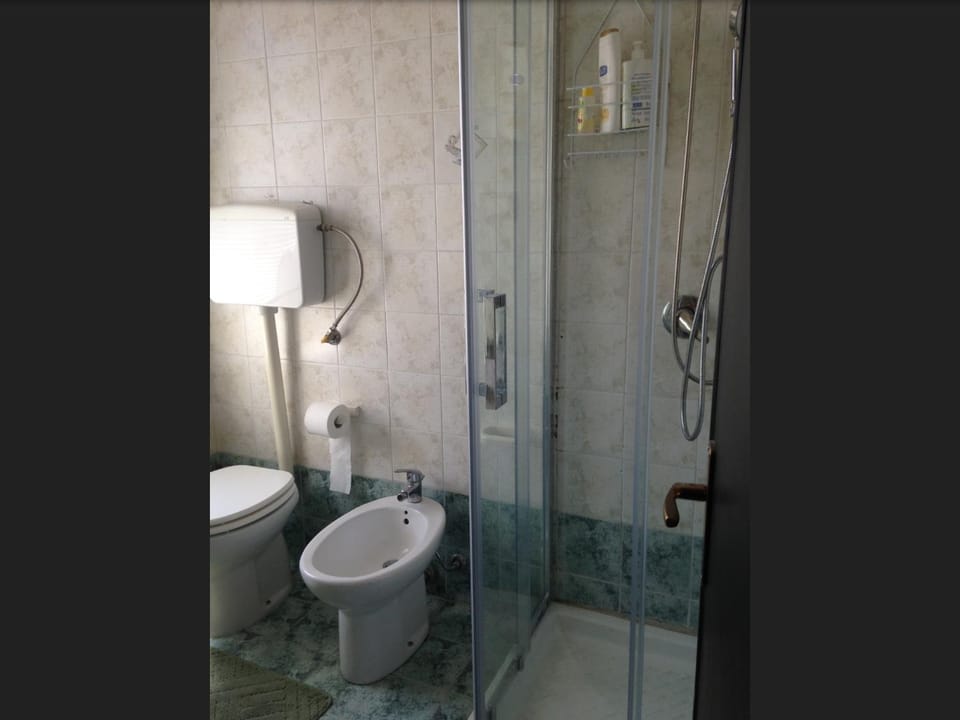 Shower, Toilet, Bathroom, bidet