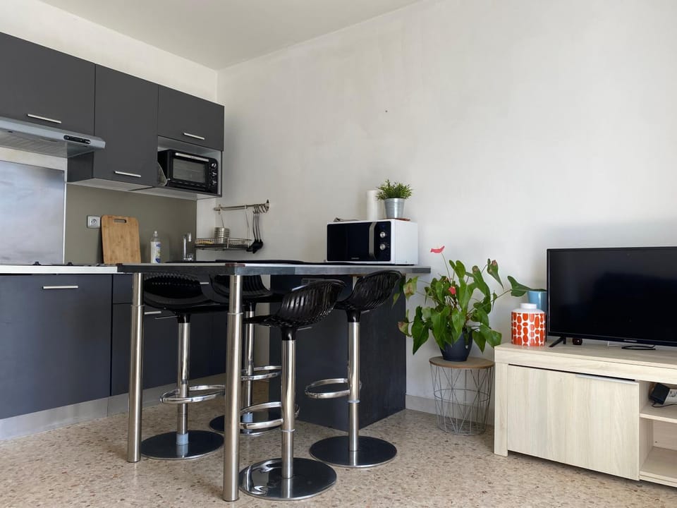 TV and multimedia, Kitchen or kitchenette, Dining area, minibar, pet friendly, stove