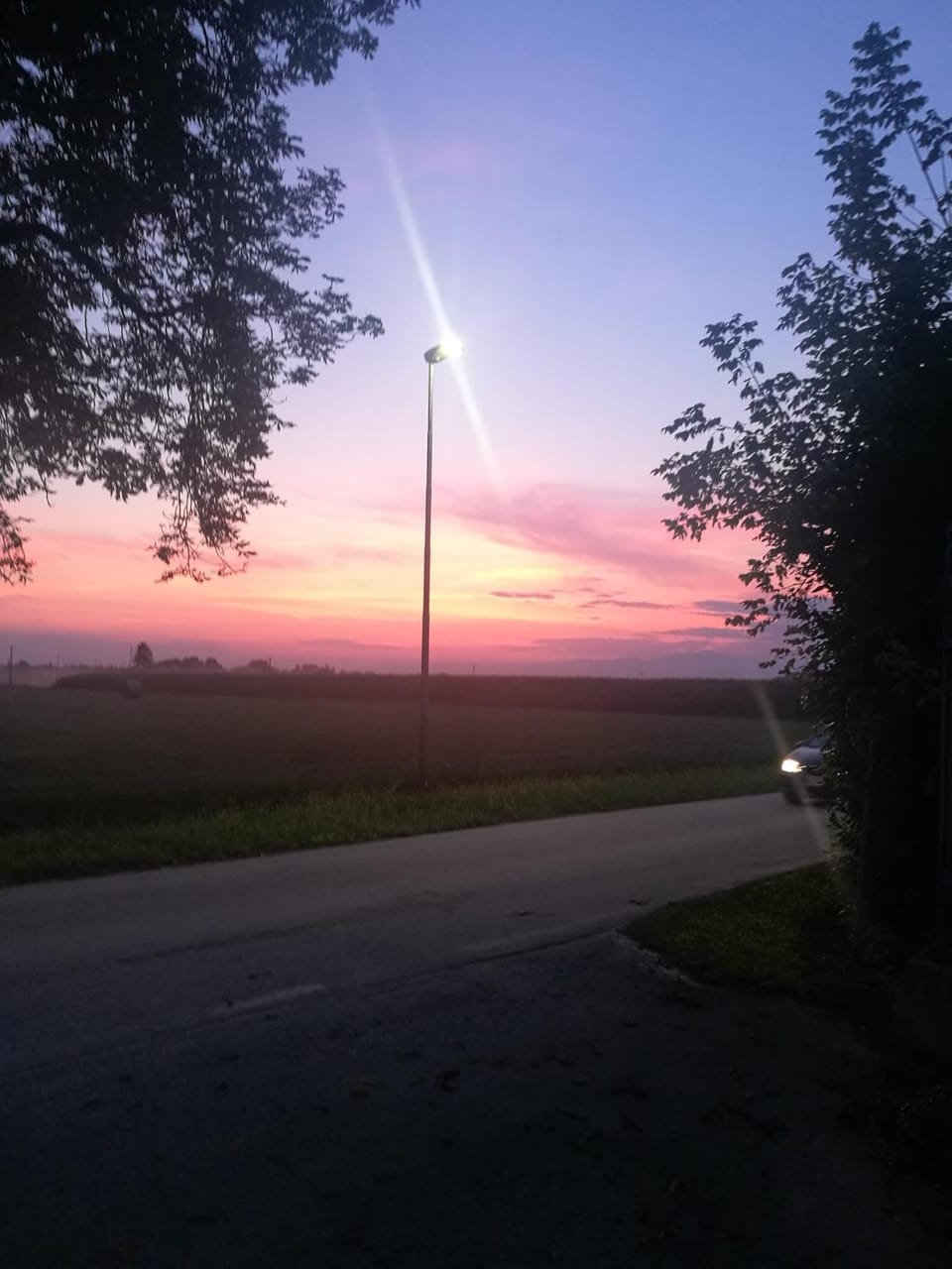 Natural landscape